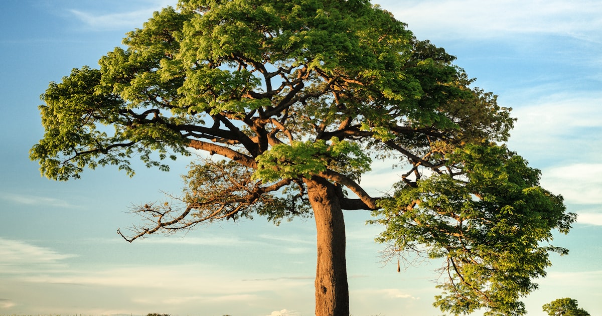 Finding Courage to Face Persecution for Your Faith